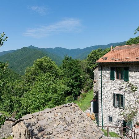 La Casa Nel Bosco-Senza Auto Guest House Ponte della Venturina Екстериор снимка