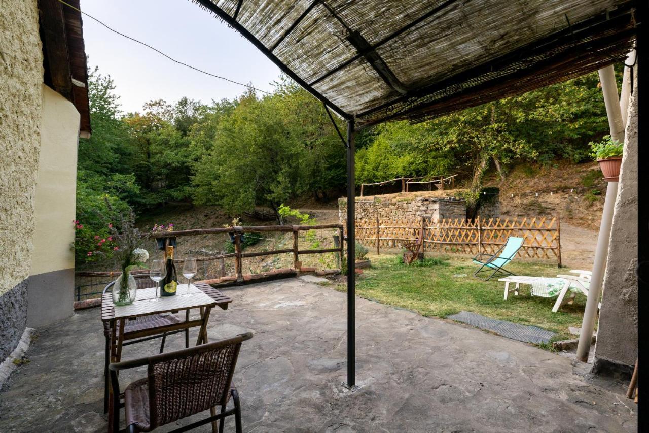 La Casa Nel Bosco-Senza Auto Guest House Ponte della Venturina Екстериор снимка