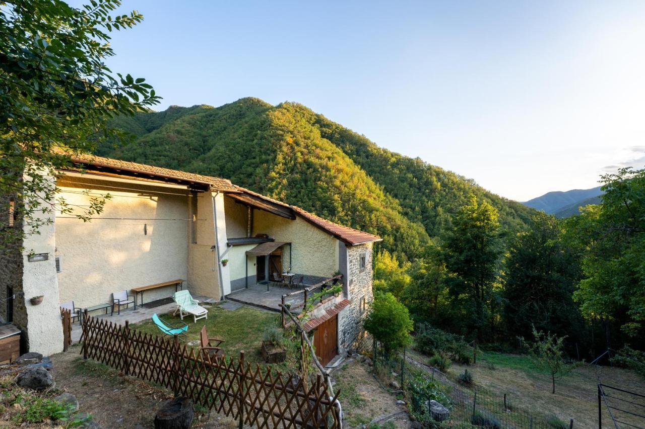 La Casa Nel Bosco-Senza Auto Guest House Ponte della Venturina Екстериор снимка