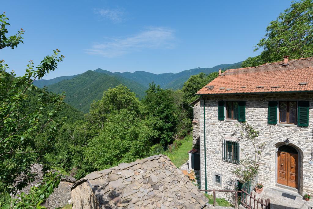 La Casa Nel Bosco-Senza Auto Guest House Ponte della Venturina Екстериор снимка