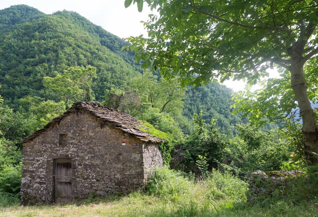 La Casa Nel Bosco-Senza Auto Guest House Ponte della Venturina Екстериор снимка