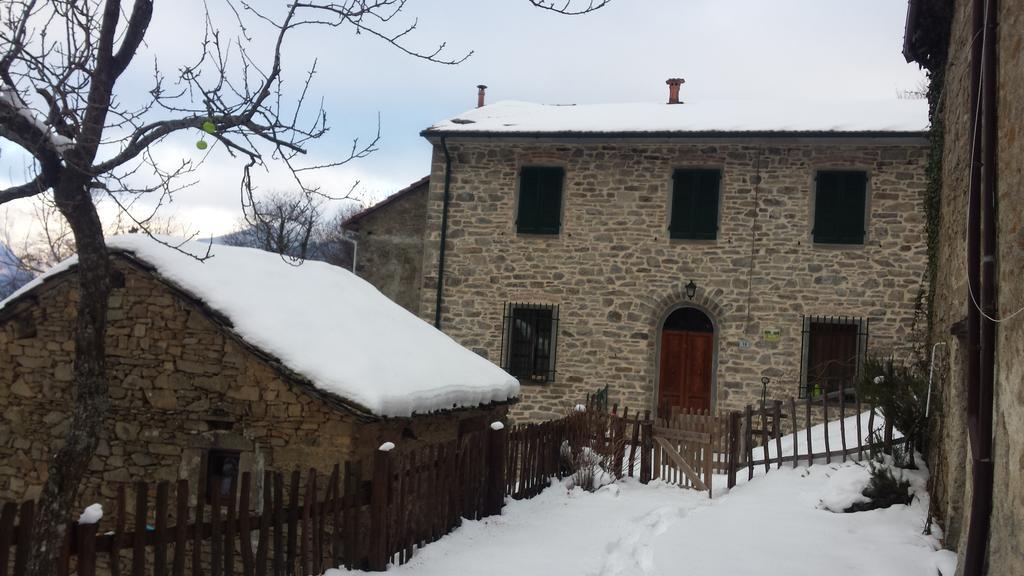 La Casa Nel Bosco-Senza Auto Guest House Ponte della Venturina Екстериор снимка