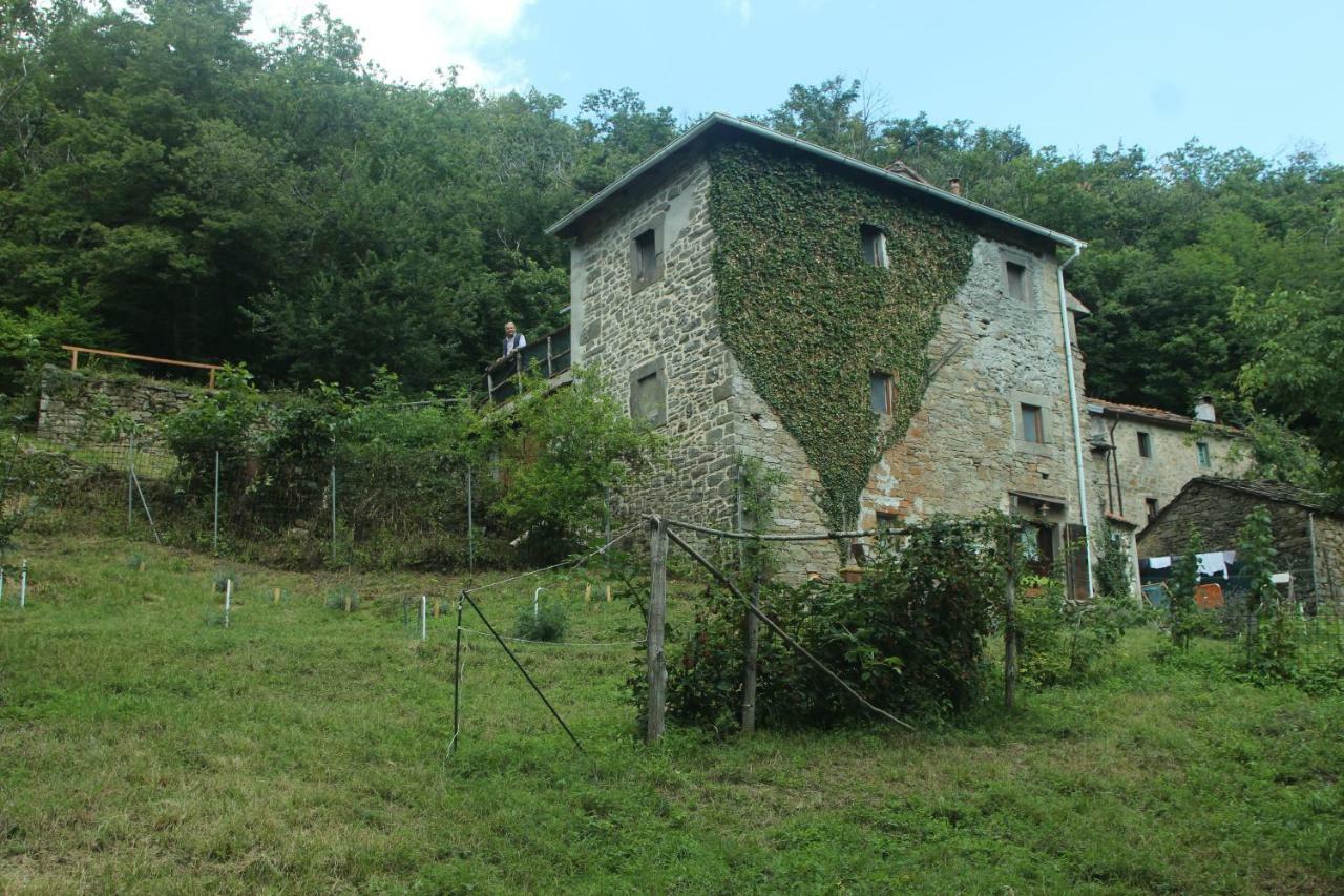 La Casa Nel Bosco-Senza Auto Guest House Ponte della Venturina Екстериор снимка