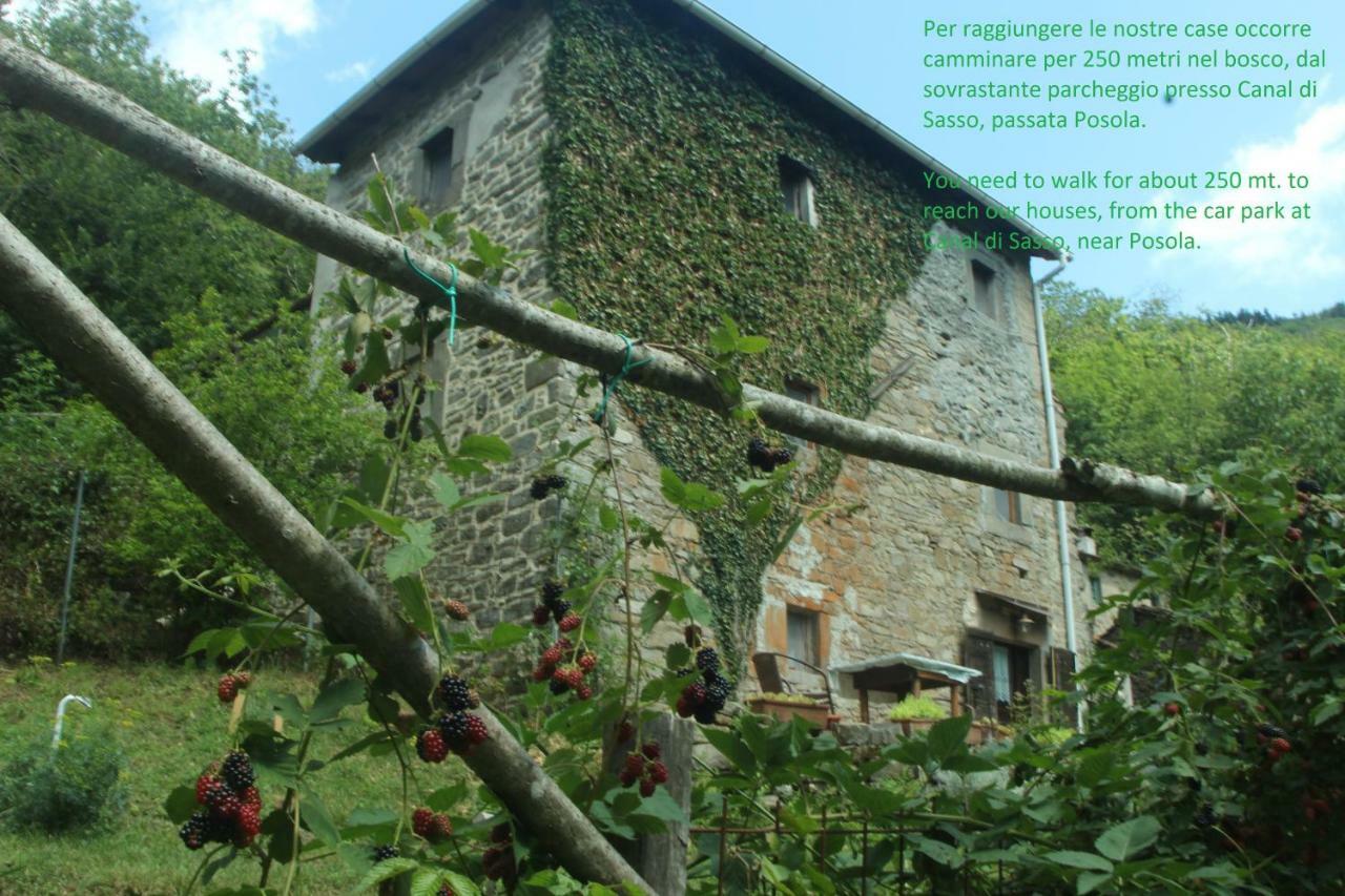 La Casa Nel Bosco-Senza Auto Guest House Ponte della Venturina Екстериор снимка